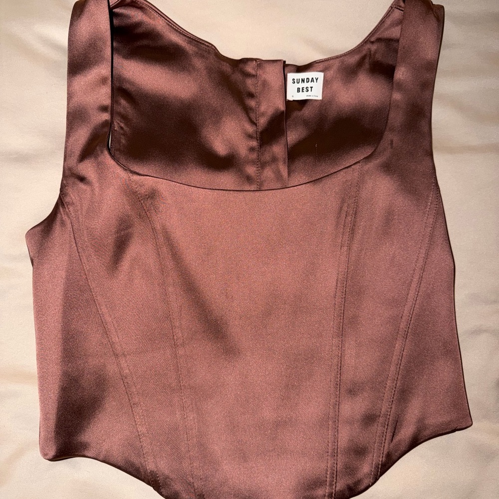Aritzia Sunday Best Satin Brown Corset Top